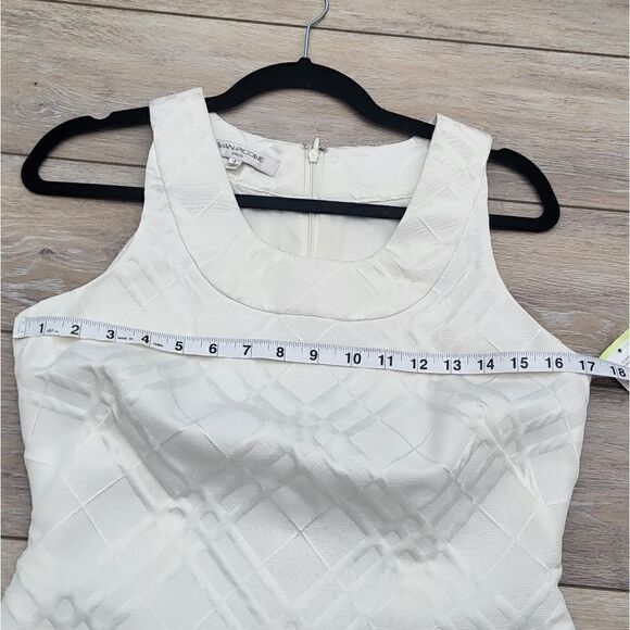 NWT Evan Picone Paris Chic Ivory dress size 4 - Picture 11 of 14